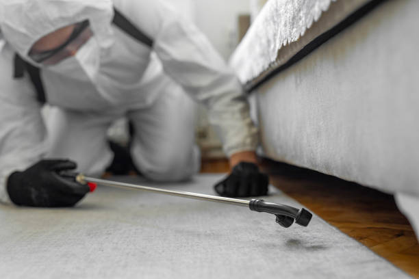 Professional Cockroach Control technician working in Cheboygan, MI