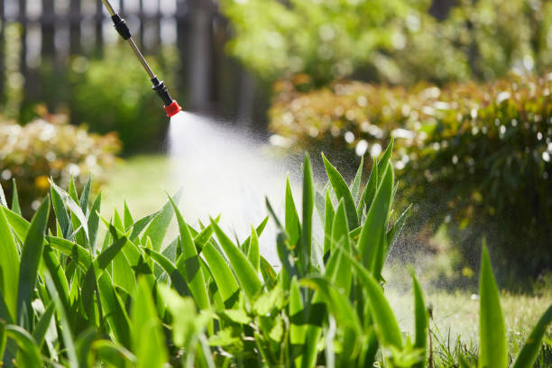 24/7 Emergency Cockroach Control experts in Cheboygan, MI