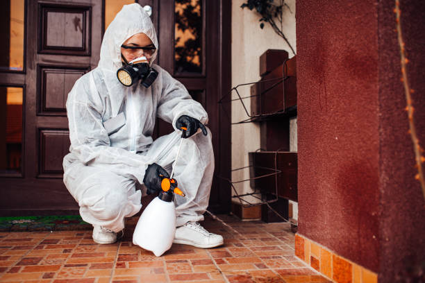 Reliable Cockroach Control contractor in Cheboygan, MI by Nex Pest Control