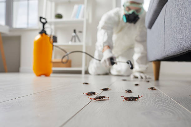 Affordable Cockroach Control solutions in Cheboygan, MI